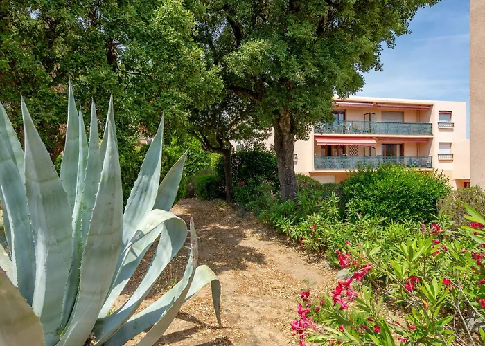 Les Mimosas-1 By Interhome Apartment